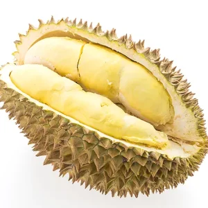 Jackfruit Seed