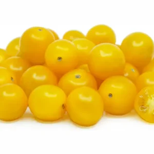 TOMBERRY CHERRY YELLOW