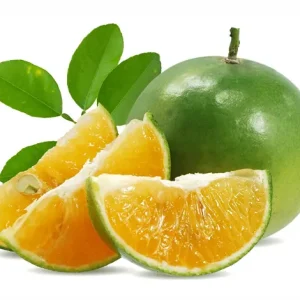 LIME CALAMANSI