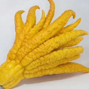 BUDDHA HAND