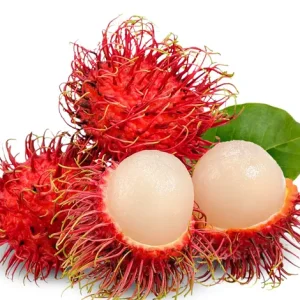 RAMBUTAN