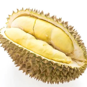 DURIAN