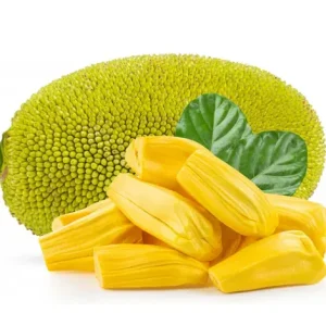 JACK FRUIT