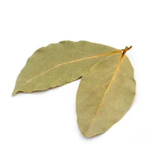 Culinary Leaves