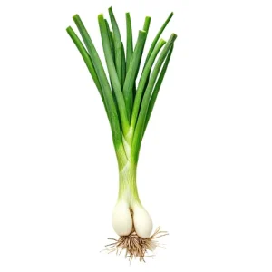 Chives