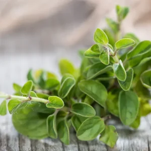 MARJORAM