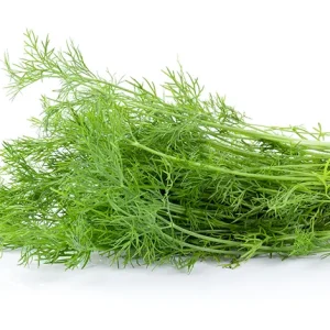 DILL
