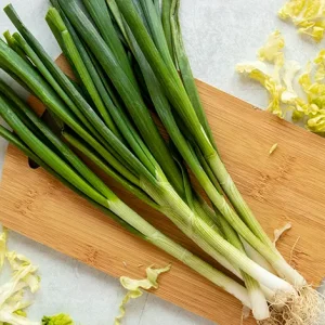 ONION SPROUTS