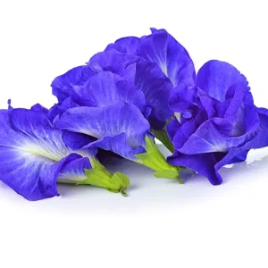 Butterfly Pea Flowers