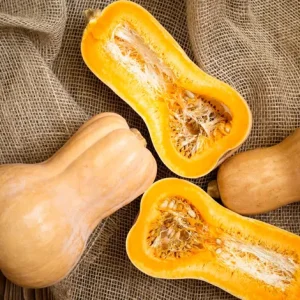 ACORN SQUASH