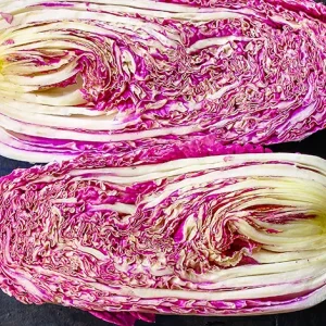 CHICORY
