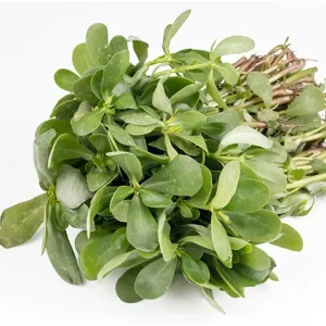 PURSLANE