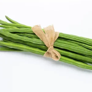 DRUM STICK