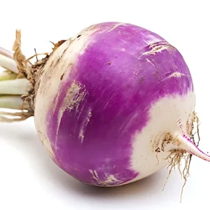 TURNIP