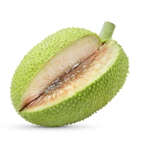 BREADFRUIT