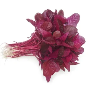 AMARANTH