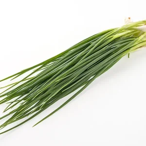 SPRING ONION