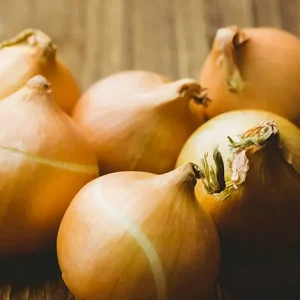 ONION