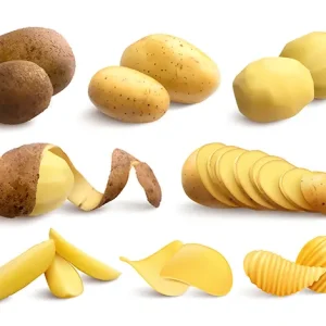 POTATO