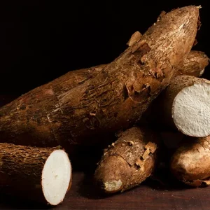 SALSIFY