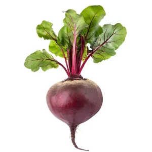 SWEDE / RUTABAGA