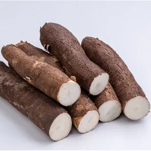 YUCCA ROOT