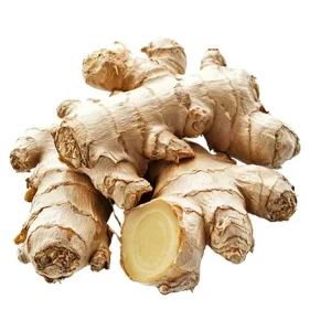GINGER