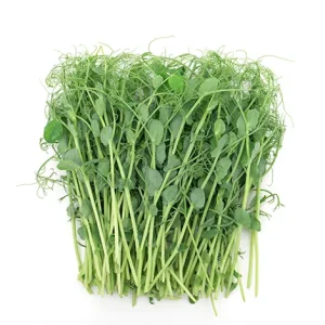 CRESS PEA