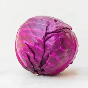 CABBAGE