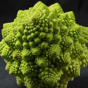 ROMANESCO