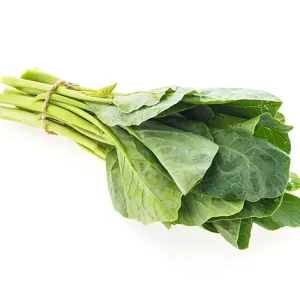 TATSOI