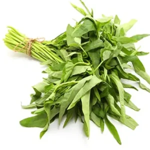 KANG KONG LEAVES / MORNING GLORY