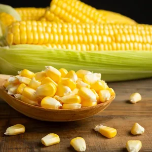 CORN