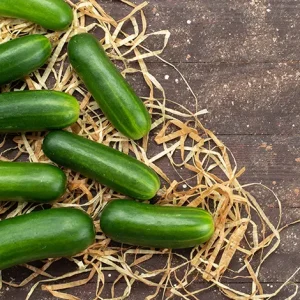 CUCUMBER