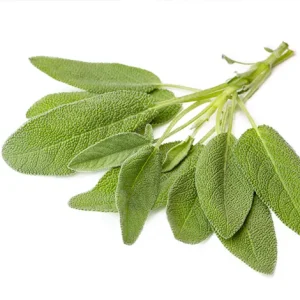 SAGE